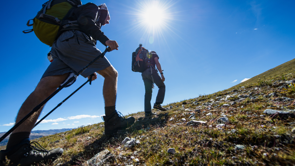 descubriendo la moraña